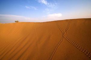désert, dunes de sable au coucher du soleil photo