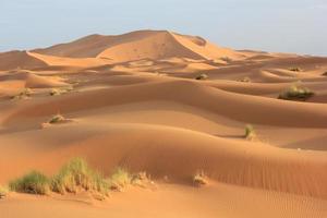 sables du sahara
