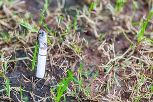 image de cigarette est dans la pelouse photo