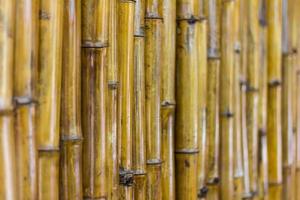 gros plan du mur de bambou. photo