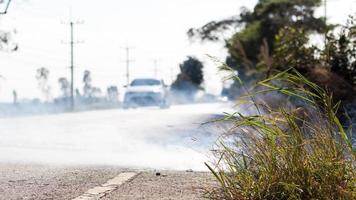 feux d'herbe en bordure de route. photo