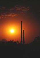 coucher de soleil en Arizona - 1982 photo