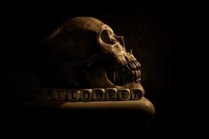 un arrangement d'art de la nature morte d'un crâne humain décédé depuis longtemps à la veille d'halloween photo