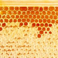 gros plan en nid d'abeille, miel sucré dégoulinant de filaments frais, arrière-plan macro