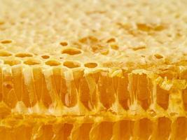 gros plan en nid d'abeille, miel sucré dégoulinant de filaments frais, arrière-plan macro photo