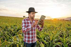 l'agronome tient une tablette tactile dans le champ de maïs et examine les cultures avant la récolte. notion d'agro-industrie. ferme brésilienne. photo