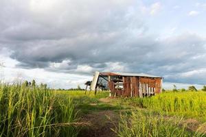 ciel de nuage de riz cottage. photo