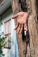 une main a émergé d'un trou en bois près de la maison. photo