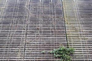 vue rapprochée sur différentes surfaces en bois de planches de bûches et de murs en bois en haute résolution photo