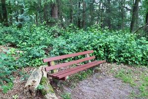 un banc public vide trouvé dans le nord de l'europe photo