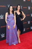 los angeles, 6 juin - brie bella, nikki bella à la wwe pour votre considération événement à l'académie de télévision saban media center le 6 juin 2018 à north hollywood, ca photo