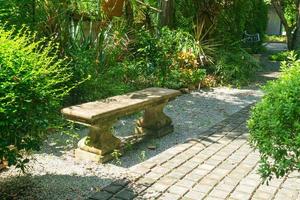 banc vide avec arbre dans le jardin photo