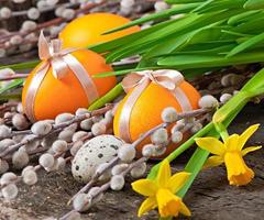 Oeufs de Pâques colorés sur fond de bois ancien photo