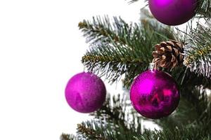 fond de nouvel an. boule de noël isolée sur une branche d'épinette photo