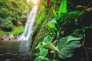 une grande cascade dans la forêt tropicale humide de thaïlande photo