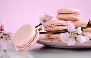 macarons roses de style vintage shabby chic photo