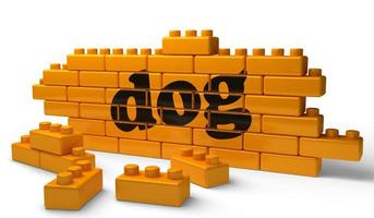mot de chien sur le mur de briques jaunes photo