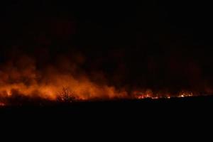 feu de nuit dans un champ avec le feu photo