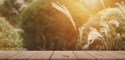 dessus de table en bois clair vide sur fond flou photo