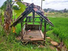 un petit bâtiment dans la rizière, lieu de repos des agriculteurs en indonésie photo