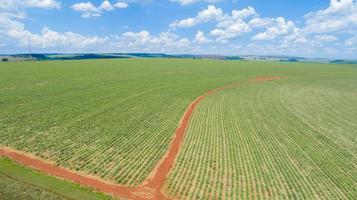 vue aérienne d'une ferme avec plantation de soja, de canne à sucre ou de haricot. terres agricoles brésiliennes. photo