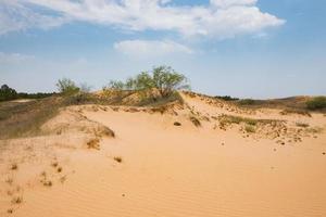 paysage dans les sables oleshky, désert en ukraine