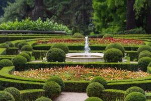 jardins du vatican, rome photo