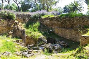 vieilles ruines de carthage photo