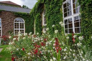 vieux bâtiment avec des fleurs photo