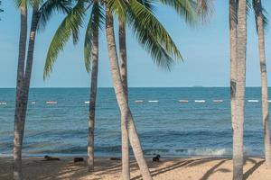 la plage de pattaya, la thaïlande accueille les touristes. photo