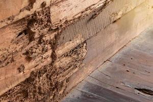 vieux murs en bois qui ont été piqués par les termites. photo