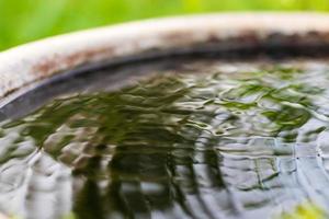 la surface de l'eau est floue dans l'ancien pot. photo