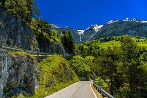 moerel, filet, oestlich raron, wallis valais suisse photo