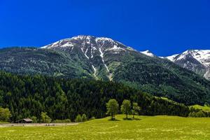 montagnes alpines avec forêt et champs, fiesch, goms, vala, vala photo