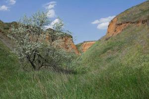 beaux paysages d'été avec des falaises d'argile près du delta du dniepr et de la mer noire photo