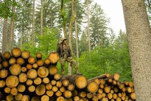 jeune randonneuse posant près de la farine de scie dans la forêt de pins. beaucoup de grumes d'arbres dans la forêt. femme routard voyageur. photo