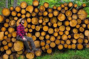 portrait de bûcheron en forêt, beaucoup de grosses bûches de pin sur fond. jeune randonneur masculin posant près de la farine de scie dans la forêt de pins. photo