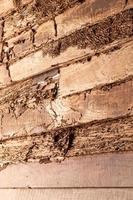 les vieux murs en bois se sont décomposés à cause de la consommation de termites. photo