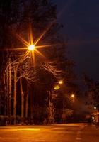 allumez beaucoup de lampes et d'arbres sur la route sombre.. photo