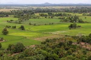 au-dessus des rizières verdoyantes et de la forêt tropicale. photo