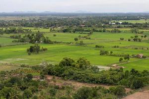 au-dessus des rizières verdoyantes et de la forêt tropicale. photo