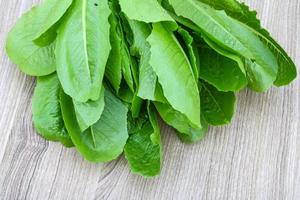 feuilles de salade romano photo