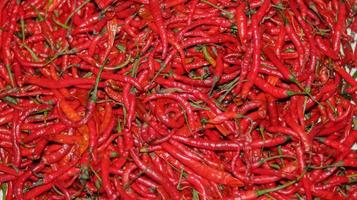 piments rouges en gros plan, piment rouge au supermarché photo