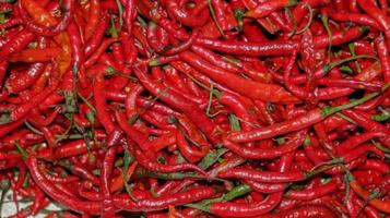 piments rouges en gros plan, piment rouge au supermarché photo