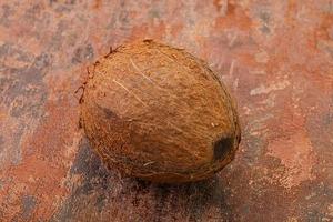 Noix de coco tropicale brune sur fond