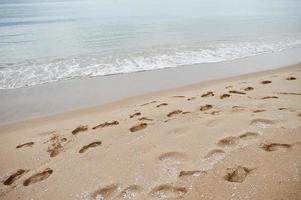empreintes de pas dans le sable à la plage ensoleillée sur la mer noire en bulgarie. vacances de voyage de vacances d'été. photo