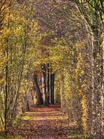 la petite rivière aa près de borken photo