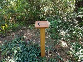 flèche noire sur panneau en bois et plantes vertes photo