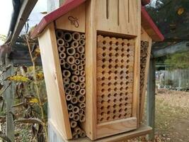 maison d'abeilles en bois ou ruche avec de petits trous photo