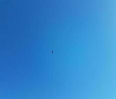 aigle à tête blanche volant haut dans le ciel bleu photo